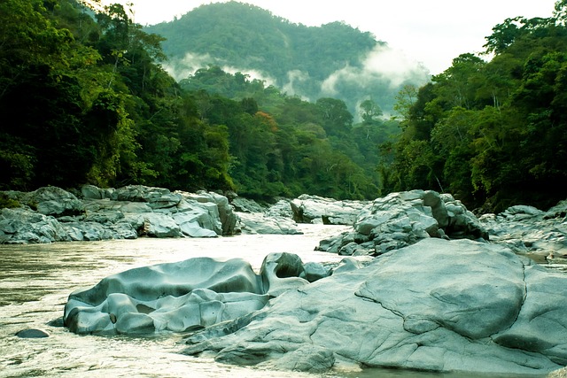 řeka amazonka